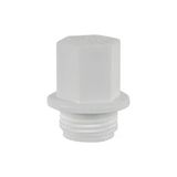 Mey İthalat Pvc Boru Kör Tapa PPRC 32x1 10 Adet