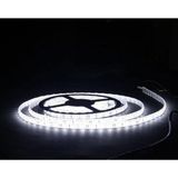 Mey İthalat Sanec 4040 Beyaz Şerit LED Iç Mekan – 1 Metre