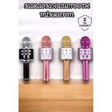 Mey İthalat® Şarjlı Ve Uzun Pil Ömürlü Karaoke Mikrofon Usb Bellek Destekli, Profesyonel Ses