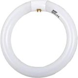 Mey İthalat Şavk 22W Simit Floresan G10Q 22W/865