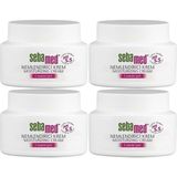 Mey İthalat Sebamed Nemlendirici Krem, 75 Ml, Yüz-Boyun-Vücut Bakımı, 4'lü Set