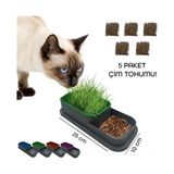Mey Ithalat® Topraksız Kedi Çimi Kabı