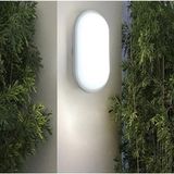 Mey İthalat Ucuz Geldi Banyo Tavan Lambası Aydos 20W Oval Balkon Tavan Lambası 6400K Beyaz LED Işık Teras Duvar Lambası (Beyaz)