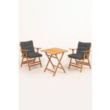 Meya Dekor Minderli Loretta Masa Sandalye Seti 2+1 Ahşap Bahçe Balkon Teras Katlanır Set 60x60 Masa-ANTRASİT