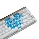Meyer Gaming XVX Optic Heart 21-Tuşlu Şeffaf Keycaps Tuş Takımı Seti
