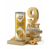 Meysu Kutu Kayısı 9X330 ml