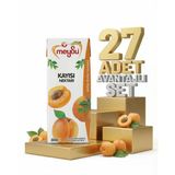 Meysu Nektar Kayısı 27X200 ml
