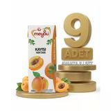 Meysu Nektar Kayısı 9X200 ml