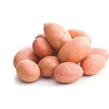 Meyve Ağacım Tatlı Patates - 5 kg