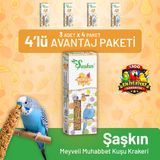 Meyveli Muhabbet Kuşu Krakeri 3'Lü - 4 Adet