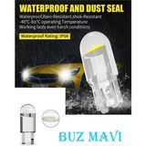 Meyzone Yeni Nesil T10 LED Dipsiz W5W Buz Mavi ( Ice Blue ) Park Tavan Plaka Ampülü - Beyaz - Mavi