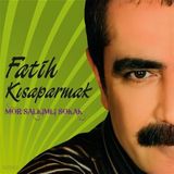 MFatih Kısaparmak Mor Salkımlı Sokak 33' Plak Bayar Müzik Halk Müziği Albümüor Salkımlı Sokak (Plak)