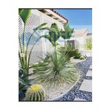 MGF PLAST Mgf 20mt (2mtX10Adet) Çizgili Esneyebilen Galvaniz Metal Çim Toprak Taş Ayırıcı Ayraç Sınırlayıcı