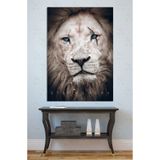 Mgi Design Beyaz Aslan Mavi Gözler Stay Hungry Motivasyonel Kanvas Tablo, Ofis Duvar Dekoru, 70x100 cm