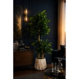 MH MiniHediye Beton Saksılı Yapay Çiçek Bambu Gövdeli Benjamin Ağacı 105 cm Ev Salon Ofis Balkon Dekor Bitkisi