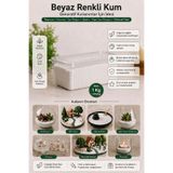 mh toy studio Beyaz Renkli Kum 1 Kg Teraryum Diorama Maket Minyatür Bahçe Mumluk Süsleme Epoksi Mum Cam Vazo Yapay Çiçek Dolgusu Dekor