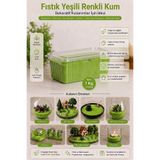 mh toy studio Fıstık Yeşili Renkli Kum 1 Kg Teraryum Diorama Maket Minyatür Bahçe Mumluk Süsleme Epoksi Mum Cam Vazo Yapay Çiçek Dolgusu Dekor