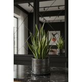 Mhd Büyük Boy Özel Tasarım Beton Saksı Tabak 20 cm ( 5 Lt. ) - Siyah