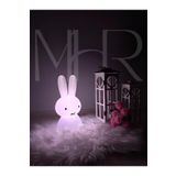 MHRDESİNG MİFFY TAVŞAN 30 CM GECE LAMBASI RGB FİŞLİ KUMANDALI (Abajur)