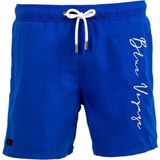 Miami Beach Saks Mavi Su Itici Özellikli Blue Voyage Nakışlı Erkek Plaj Deniz Şort Mayo - 303-SAKS