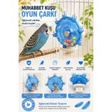 MİANNA Muhabbet Kuşu Oyun Çarkı Renkli Boncuklu Kafes Oyuncağı