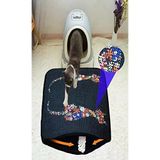 Miapet Elekli Desenli Tuvalet Önü Paspası 60 X 45 Cm Ters Kediler
