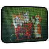 Miapet Elekli Desenli Tuvalet Önü Paspası 60 X 45 Cm Yavru Kediler
