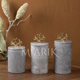 Miarik Design Dekoratif Gri Mermer Gold Renk Mercan Aksesuarli 3 Lü Baharatlık Şekerlik Kavanoz Seti