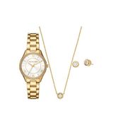 Michael Kors MK4849SET Çelik Kadın Kol Saati Kolye ve Küpe Seti