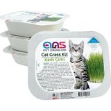 Miçiko Ans Kedi Çimi 1 Paket