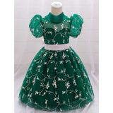 Miço Kids Kız Çocuk Brodeli Prenses Elbise - 00430 Yeşil - 5 - 7 Yaş