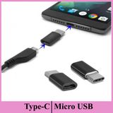 Micro USB Dişi to USB 3.1 TYPE-C Erkek