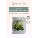 MICROLEAF Brokoli Mikro Yeşillik - Hücresel Yenilenme Yüksek Sülforafan Kaynağı Fonksiyonel Biohacking Süper Besin
