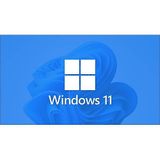 Microsoft Esd FQC-10572 Windows 11 Pro 32/64bıt Tr/Eng Lisans