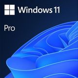 Microsoft FQC-10556 MS Windows 11 Pro 64 Bit TR OEM İşletim Sistemi