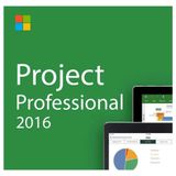 Microsoft Project Professional 2016 Bireysel Dijital Lisans