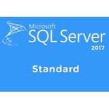 Microsoft Sql Server 2017 Standart Lisans