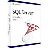 Microsoft SQL Server 2022 Standart Lisans Anahtarı