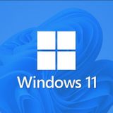 Microsoft Windows 11 Pro OEM 64 Bit Türkçe İşletim Sistemi