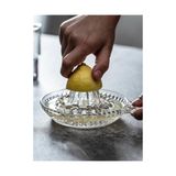 Midas Toptan Cam Limon Sıkacağı Midas - Renkli