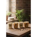 Mien 4’lü Art Porselen Espresso Bardağı Seti – Kahve Fincanı Seti Modern Tasarım - Renkli - 260,8 ml