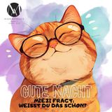 Miezi fragt: Weißt du das schon?: 12 spannende Gute-Nacht-Geschichten