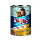 Miglior Gatto Tavuklu ve Hindili 12x405 gr Konserve Kedi Maması