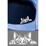 MIGNATIS Bagajdan Bakan Kedi Oto Araba Sticker, Cam ve Metal Yüzeye Uygun, Vinil, Düz Desen, Mat, 15x15 cm, Kendinden Yapışkanlı (beyaz)