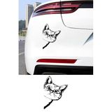 MIGNATIS Yandan Bakan Kedi Oto Sticker, Cam ve Metal Yüzey, Vinil, Mat, 15x15 cm, Araba Kullanımı, Kendinden Yapışkanlı (Siyah)