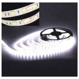 MiiMTicaret 5 Metre 3 Cip 4040 Iç Mekan Şerit Led+ 12,5 Amper Trafo