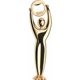 Mikasa Moor 6x19 cm Gym Gold Kapak Açacağı