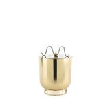 Mikasa Moor Gold Metal Siyah Kulplu Buz Kovası - Altın