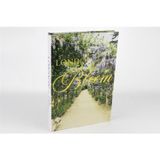 Mikasa Moor London Bloom 35x24x3 cm Kitap Kutu