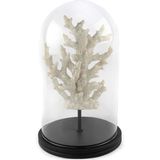 Mikasa Moor Mercan Clear Detaylı Beyaz Cam Fanus 38X22 cm - Standart